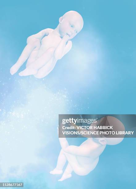 babies floating, illustration - babies only stock illustrations