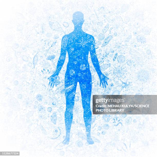 Human Freakes 23,220 Super Human Illustration High Res Illustrations - Getty Images