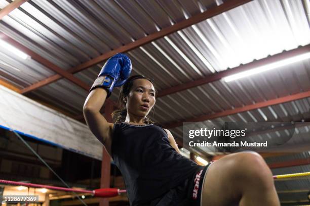 athletic akha/thai woman kicking in boxing ring - akha woman stock pictures, royalty-free photos & images