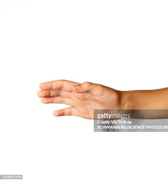 child's hand against white background - estirar fotografías e imágenes de stock