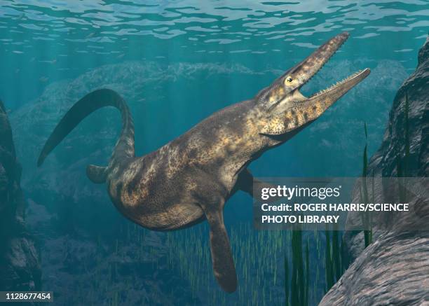 stockillustraties, clipart, cartoons en iconen met mosasaurus swimming, illustration - mosasaurus