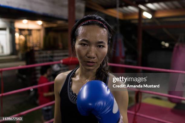 athletic akha/thai woman in boxing ring - amanda joy stock pictures, royalty-free photos & images