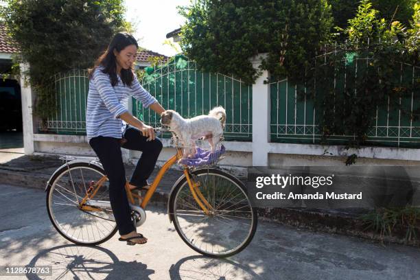 Happy Thai Woman Riding Bicycle with Dog in Basket