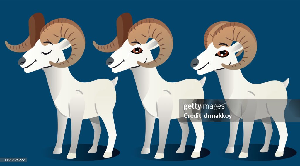 From sheep