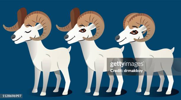 from sheep - dall sheep stock illustrations