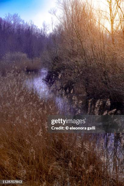 canale d'acqua - soleggiato stock-fotos und bilder