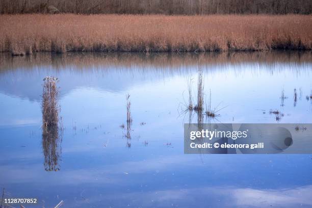 canale d'acqua - escursionismo stock pictures, royalty-free photos & images