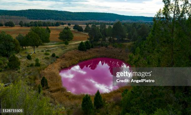purple lagoon in a karst area - tierra salvaje - fotografias e filmes do acervo
