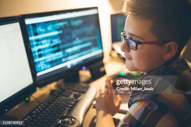 Jongen Werken Op De Computer, Stockfoto