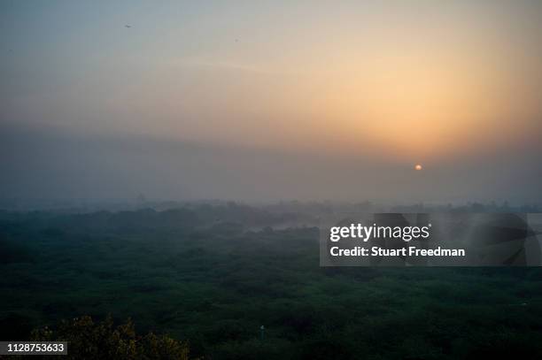 Delhi Ridge Photos and Premium High Res Pictures - Getty Images