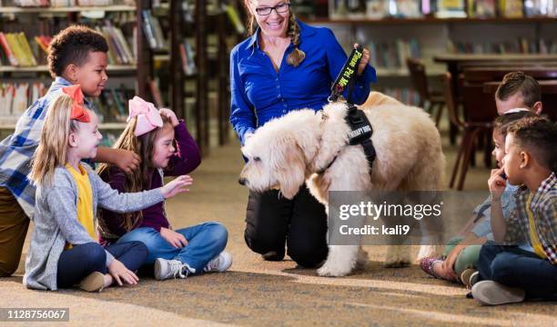children in library with reading assistance dog - assistance dog stock pictures, royalty-free photos & images