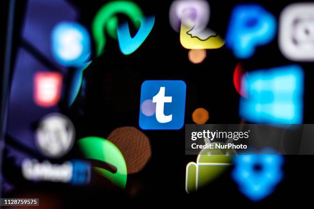 Tumblr logo is seen on a computer screen in this photo illustration in Warsaw, Poland on March 5, 2019.