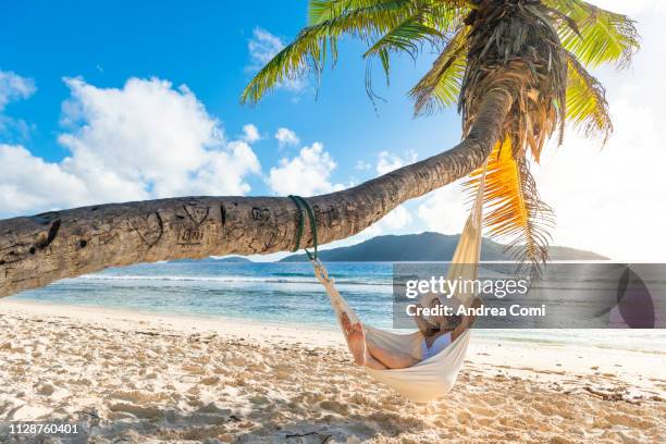 a beautiful woman lying down on a hammock in a tropical beach - seychellen stock-fotos und bilder