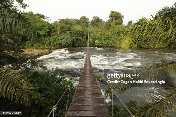 mana river foot bridge, entrance to the korup national park - cameroon - fotografias e filmes do acervo
