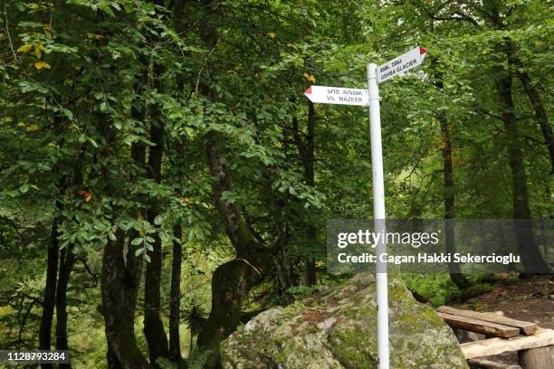 trails signs near the ushba glacier - georgia caucaso del sud foto e immagini stock
