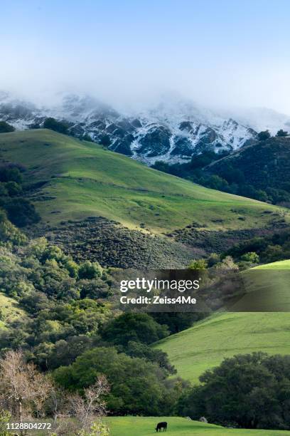 verticale schot van zeldzame sneeuwval op missie peak, fremont, ca - east bay regional park stockfoto's en -beelden