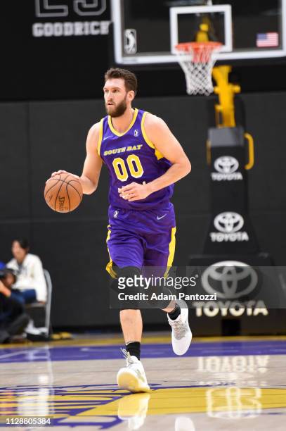 Spencer Hawes of the South Bay Lakers handles the basketball against the Northern Arizona Suns on March 5, 2019 at UCLA Heath Training Center in El...