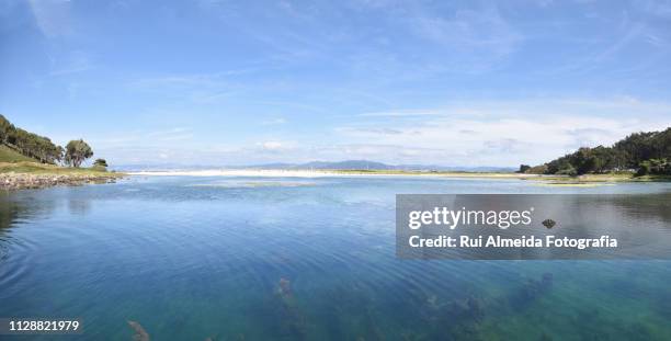 cíes island, amazing national marine-terrestrial park a beach paradise - rebentação stockfoto's en -beelden