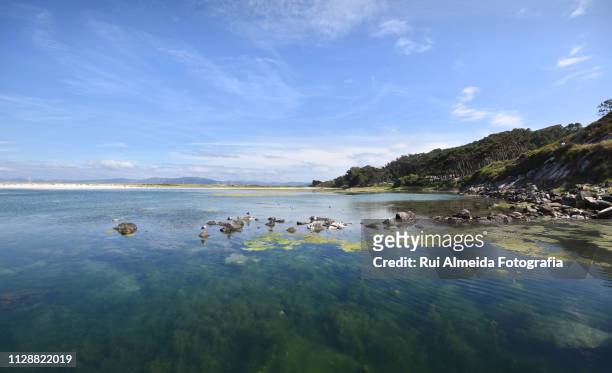 cíes island, amazing national marine-terrestrial park a beach paradise - rebentação stock-fotos und bilder