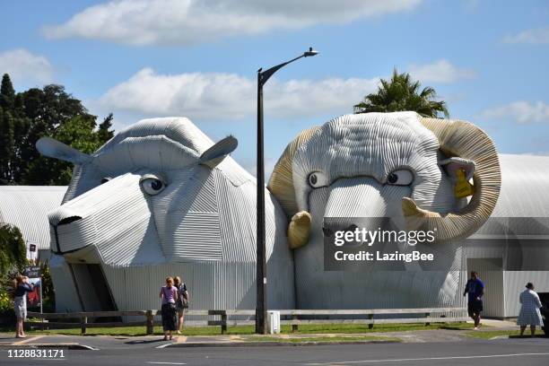 the tirau sheep and ram buildings, waikato  region, new zealand - hamilton new zealand stock pictures, royalty-free photos & images