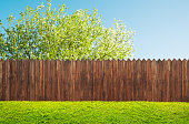 a wooden garden fence at backyard and bloom tree in spring