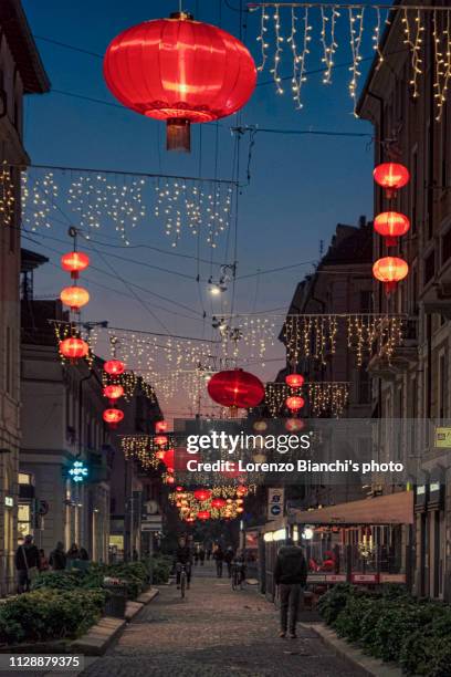 chinese new year 2019 - year of the pig - chinatown stock-fotos und bilder