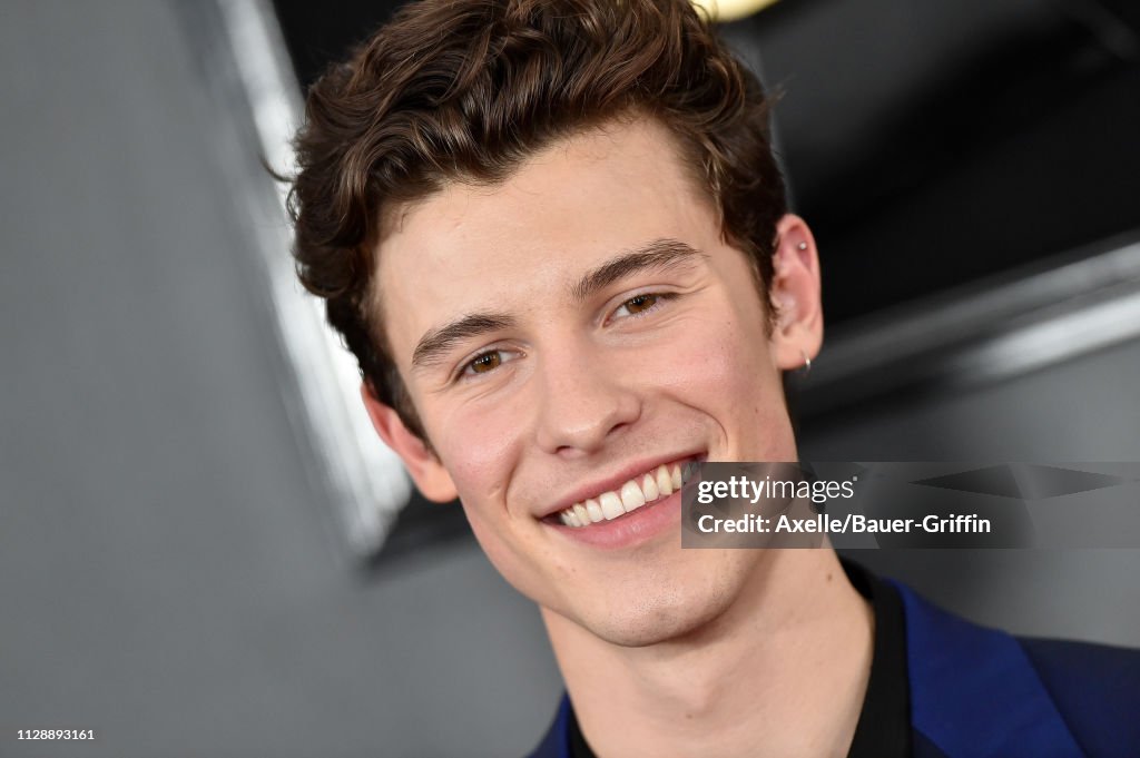 61st Annual GRAMMY Awards - Arrivals