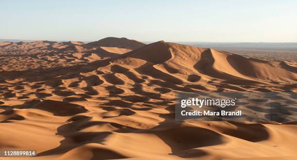 sand dunes in the desert, dune landscape erg chebbi, merzouga, sahara, morocco - merzouga stock pictures, royalty-free photos & images