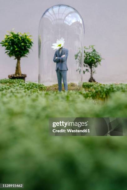 businessman figurine with flower head standing park under bell jar - bell jar ストックフォトと画像