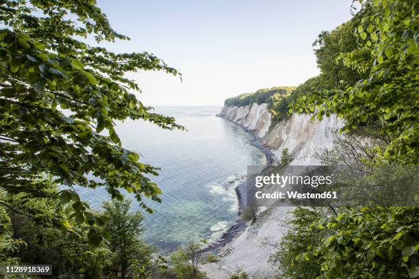 germany, mecklenburg-western pomerania, ruegen, jasmund national park, chalk cliff - steilküste stock-fotos und bilder