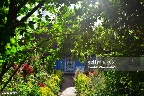 germany, zingst, garden and house - lush backyard stock pictures, royalty-free photos & images