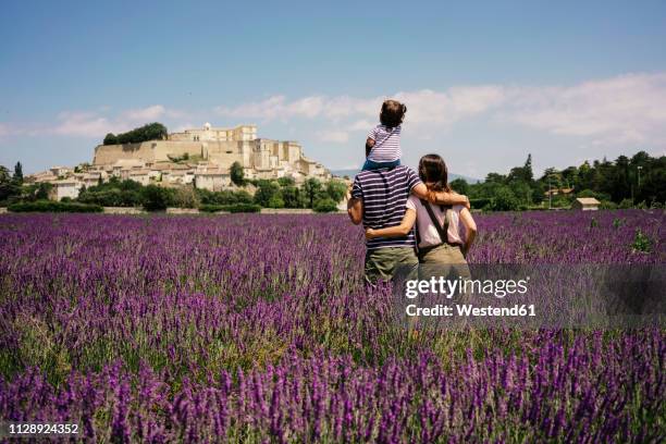 france, grignan, back view of familiy standing in lavender field looking to the village - france - fotografias e filmes do acervo