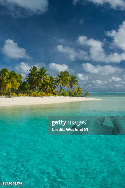 cook islands, rarotonga, aitutaki lagoon, white sand beach and palm beach - rarotonga stock pictures, royalty-free photos & images