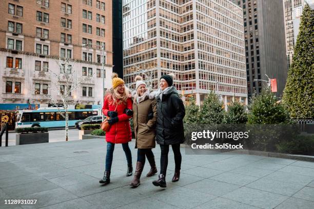 een wandeling maken - christmas newyork stockfoto's en -beelden