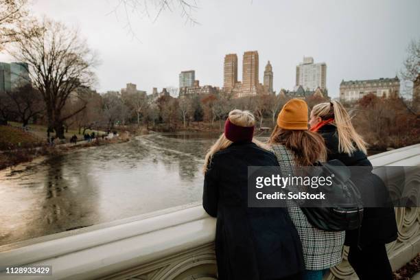 three women looking over central park's scenery - central park winter stock pictures, royalty-free photos & images