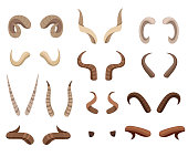 Set of animal horns. Horn icons. Horny hunting trophy of reindeer. Flat vector illustration isolated on white background