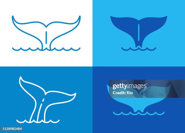 ilustraciones, imágenes clip art, dibujos animados e iconos de stock de cola de ballena - cuatro animales