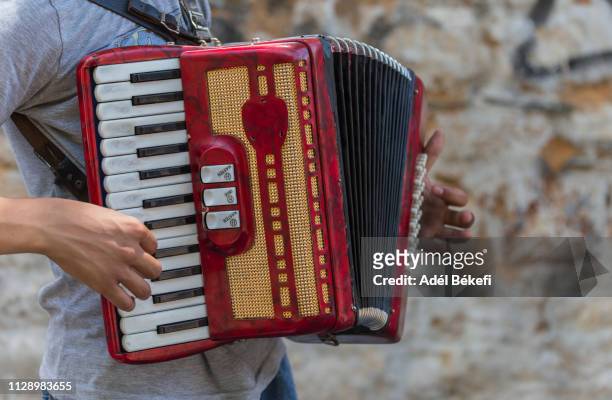 close up of musician playing accordion - acordeón fotografías e imágenes de stock