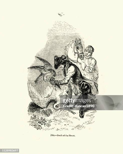 falconry, hunting for heron with a hawk - falconry stock illustrations