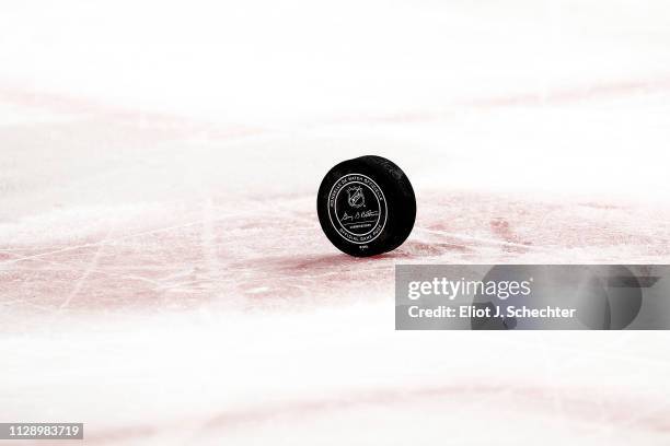 Game puck sits at the ready for a face off between the Tampa Bay Lightning and the Florida Panthers at the BB&T Center on February 10, 2019 in...