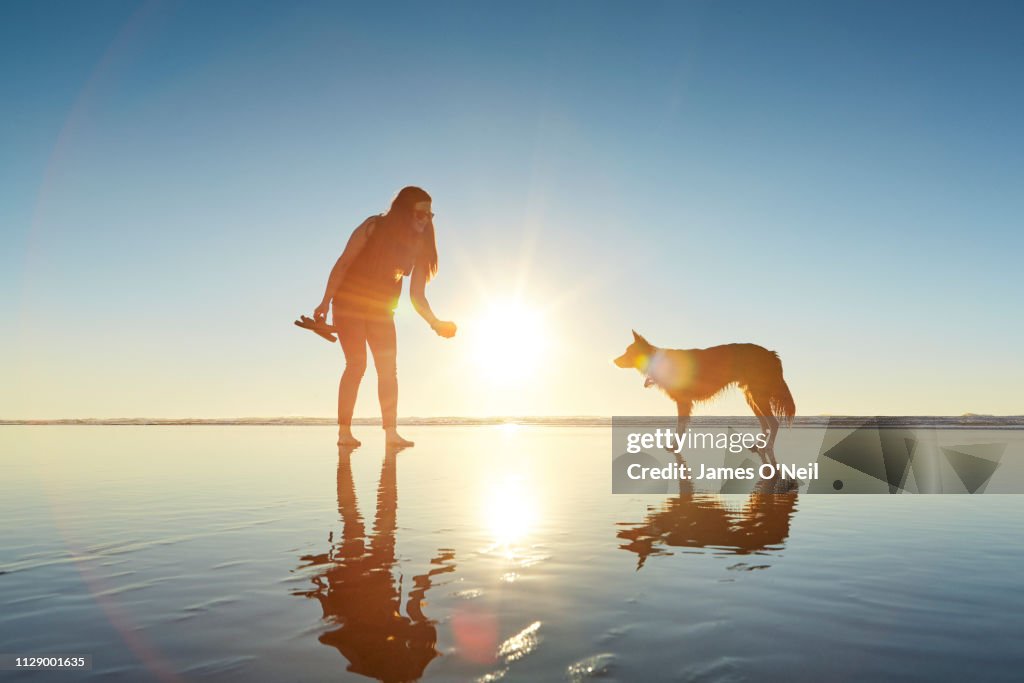 Dog and female owner playing with ball on beach at sunset