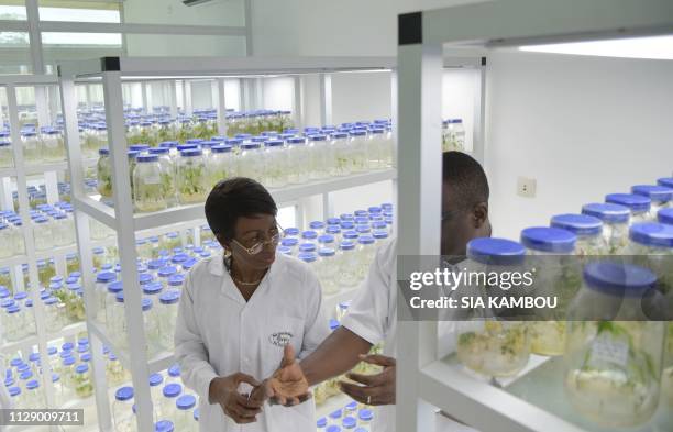 Ramata Ly-Bakayoko , Minister of Women Affairs and Ivorian Premier at the Paris Academy of Sciences Overseas listens to a researcher as she visits...