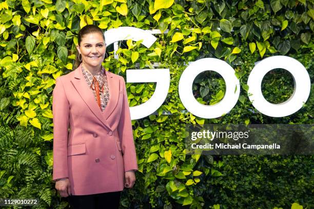 Crown Princess Victoria Of Sweden visits the Swedish office's of Google on March 7, 2019 in Stockholm, Sweden.