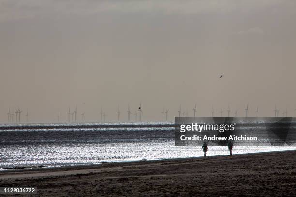 Dog walkers on Mablethorpe beach enjoy the winter sunshine with The Lincs Wind Farm in the distance. It is a 270 MW offshore wind farm 8 kilometres...