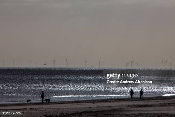 Dog walkers on Mablethorpe beach enjoy the winter sunshine with The Lincs Wind Farm in the distance. It is a 270 MW offshore wind farm 8 kilometres...