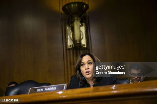 Senator Harris 8,650 Senator Harris Stock Photos, High-Res Pictures, and Images ...