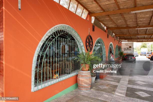 the vineyards in pisco near ica in peru - moonshine jug stock pictures, royalty-free photos & images