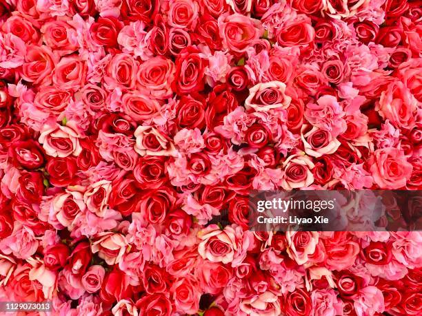 rose background - rosenblatt stock-fotos und bilder