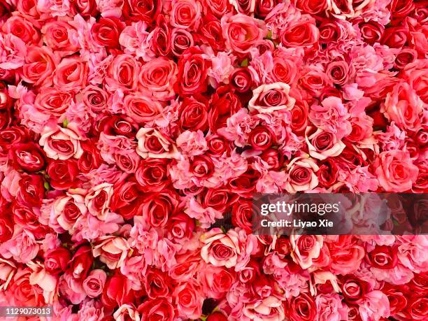 rose background - valentines background fotografías e imágenes de stock