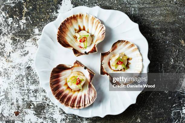 still life with cooked scallops in scallop seashells, overhead view - jakobsmuschel stock-fotos und bilder
